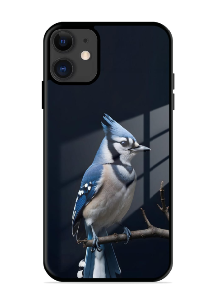 Blue Jay Premium Glass Case for Apple Iphone 11